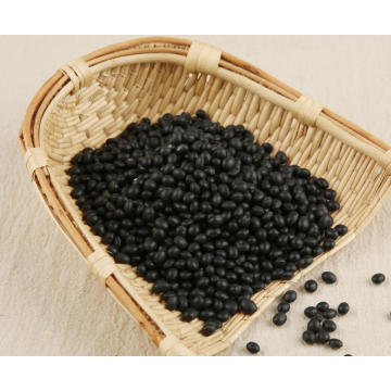 Black Beans 25KG